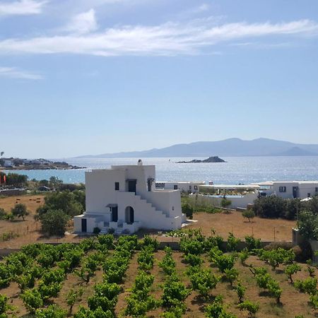 Gasthaus Matina Naxos - Mikri Vigla Zimmer foto