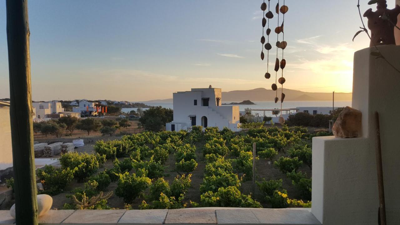 Gasthaus Matina Naxos - Mikri Vigla Zimmer foto