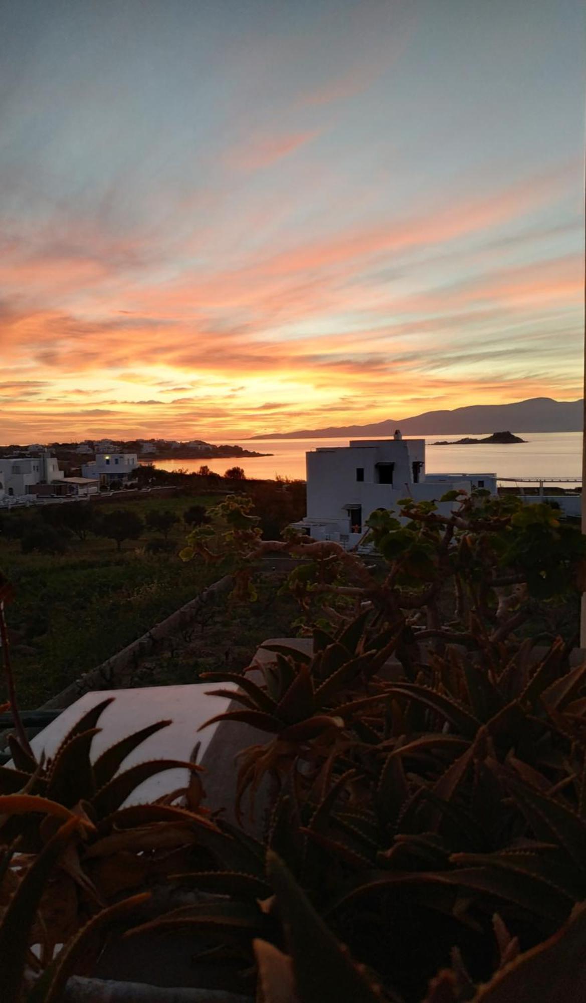 Gasthaus Matina Naxos - Mikri Vigla Zimmer foto