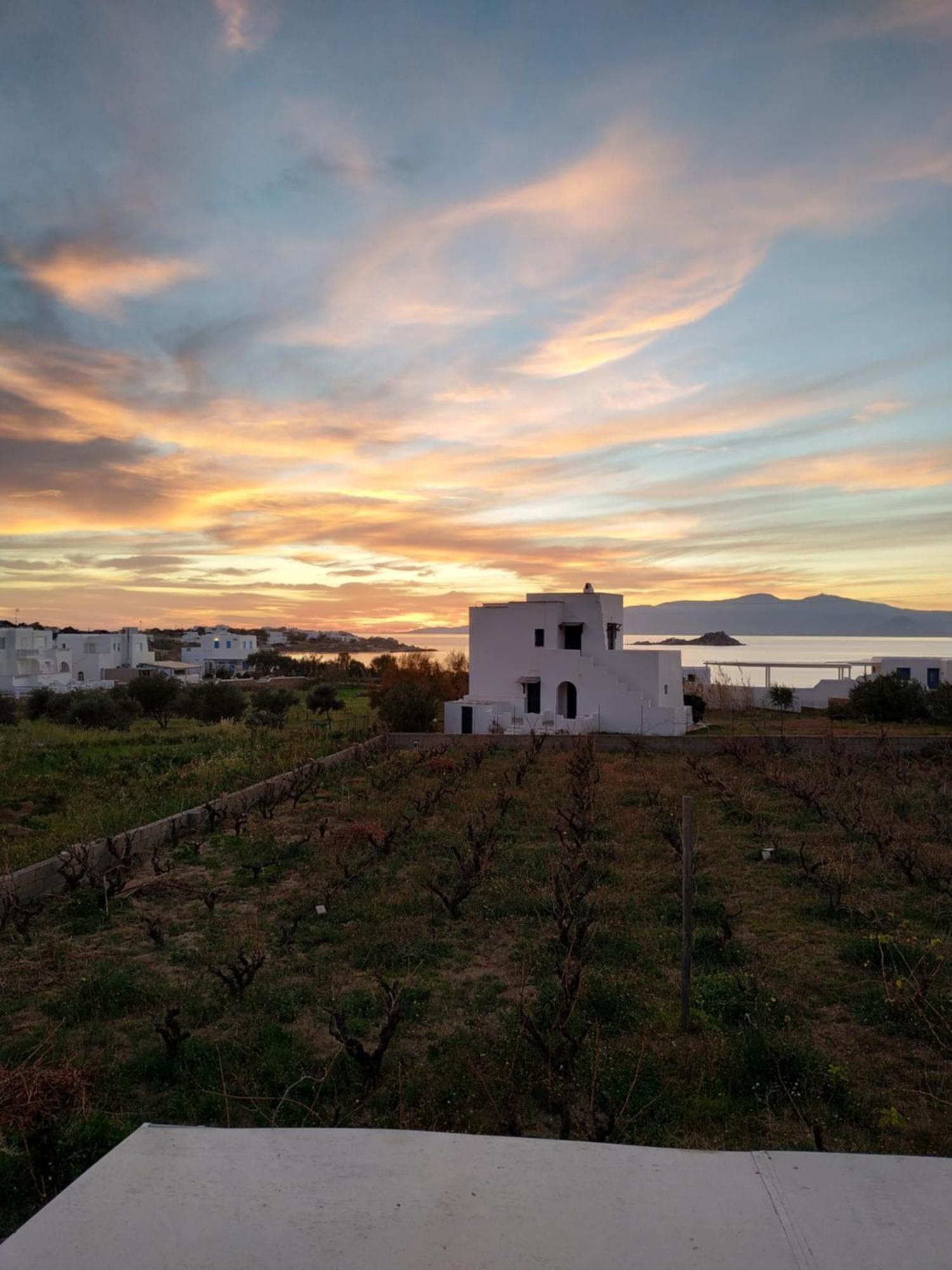 Gasthaus Matina Naxos - Mikri Vigla Zimmer foto