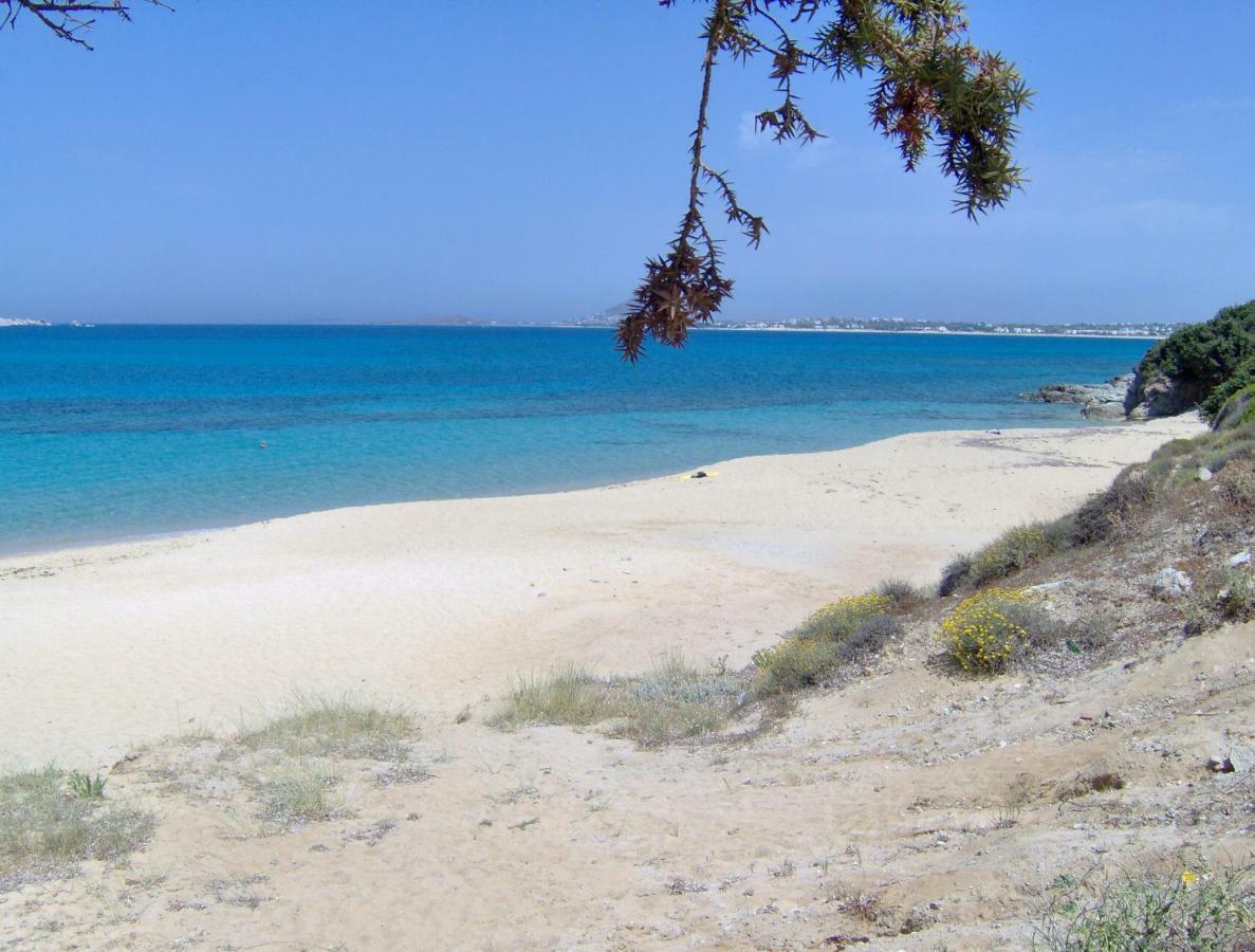 Gasthaus Matina Naxos - Mikri Vigla Exterior foto